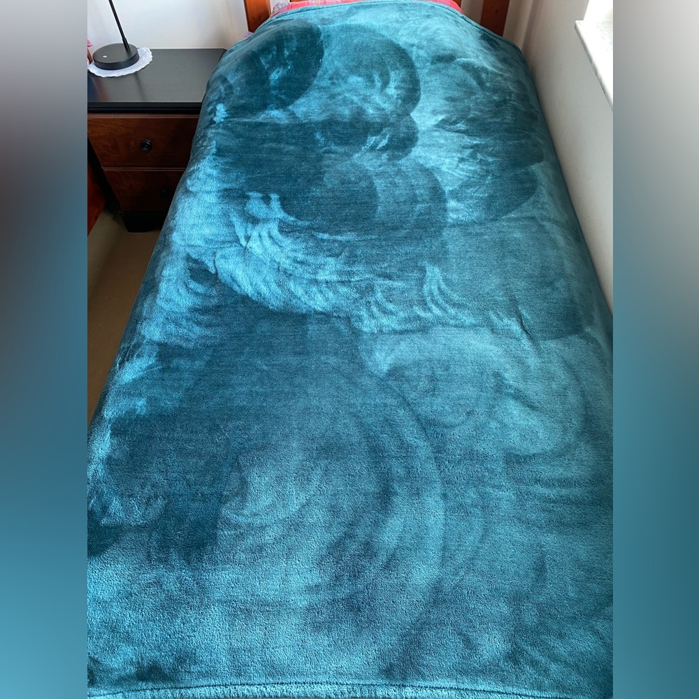 Berkshire Plush soft throw/blanket Teal